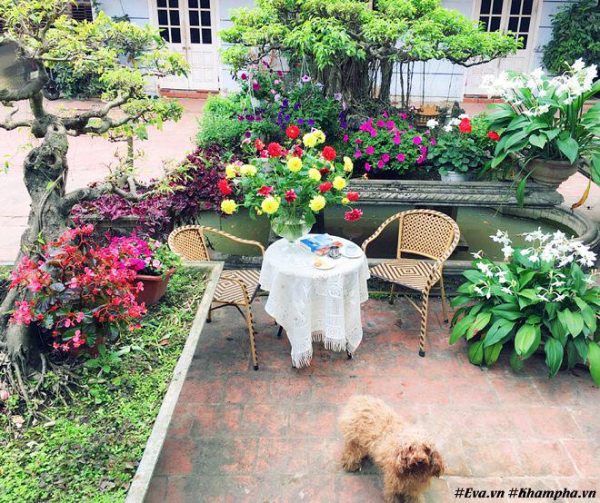 chon di ve binh yen ngap tran hoa trai ai cung mo cua nguoi phu nu ha noi da tai - 15