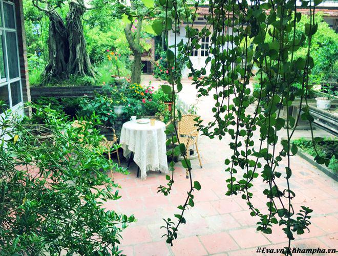 chon di ve binh yen ngap tran hoa trai ai cung mo cua nguoi phu nu ha noi da tai - 7