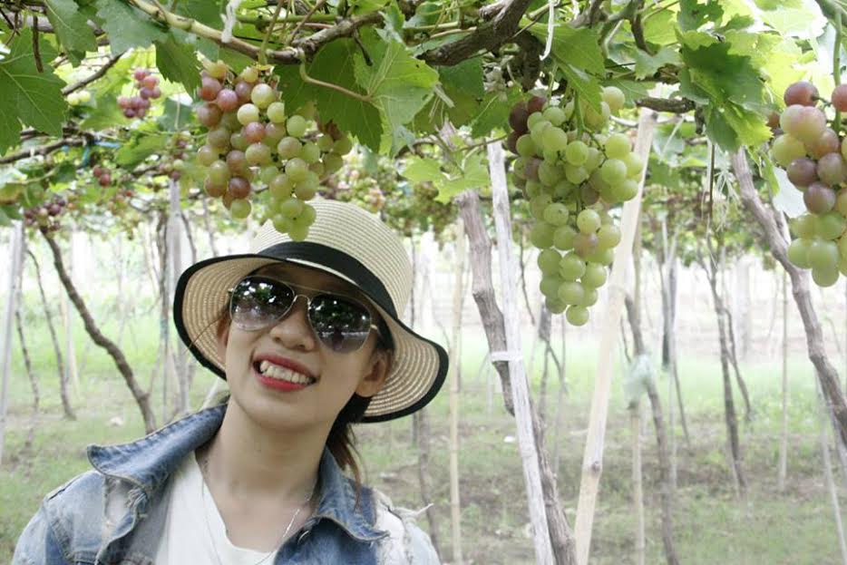 amp;#34;Đã mắtamp;#34; với vườn nho chín lúc lỉu ở Ninh Thuận - 5