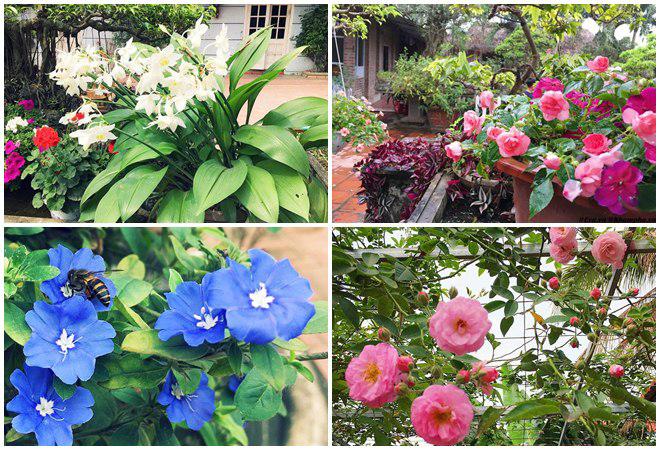 chon di ve binh yen ngap tran hoa trai ai cung mo cua nguoi phu nu ha noi da tai - 16