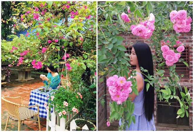 chon di ve binh yen ngap tran hoa trai ai cung mo cua nguoi phu nu ha noi da tai - 20