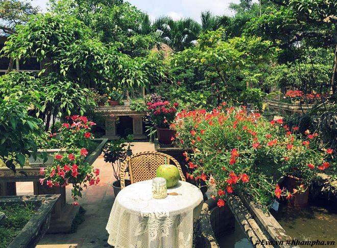 chon di ve binh yen ngap tran hoa trai ai cung mo cua nguoi phu nu ha noi da tai - 8