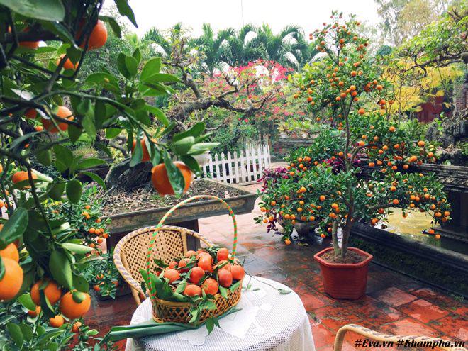 chon di ve binh yen ngap tran hoa trai ai cung mo cua nguoi phu nu ha noi da tai - 4