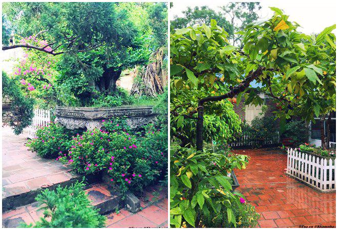 chon di ve binh yen ngap tran hoa trai ai cung mo cua nguoi phu nu ha noi da tai - 19