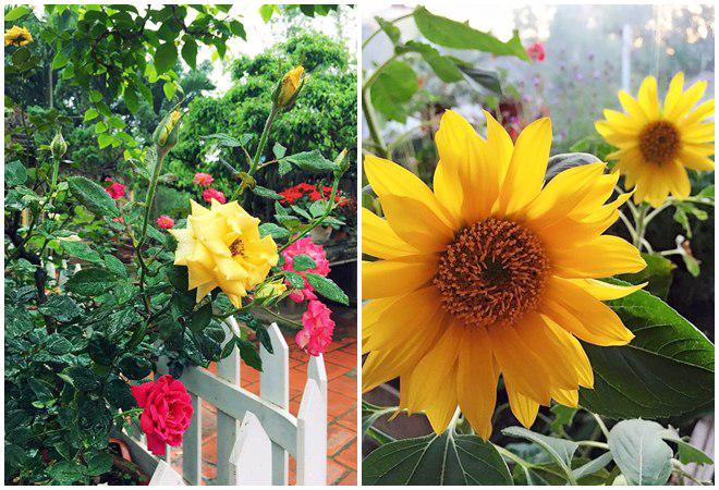 chon di ve binh yen ngap tran hoa trai ai cung mo cua nguoi phu nu ha noi da tai - 10