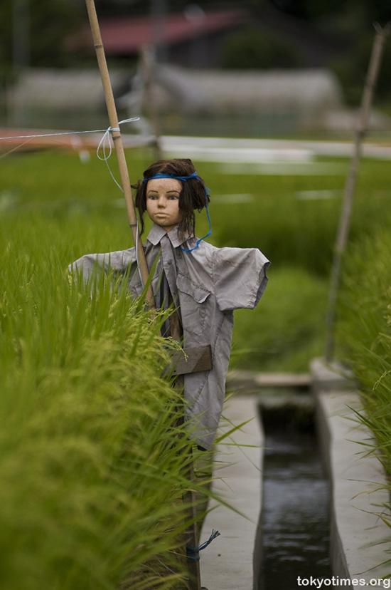 Cười ngất với muôn kiểu bảo vệ vườn rau amp;#34;có một không haiamp;#34; của các bác nông dân vui tính - 9