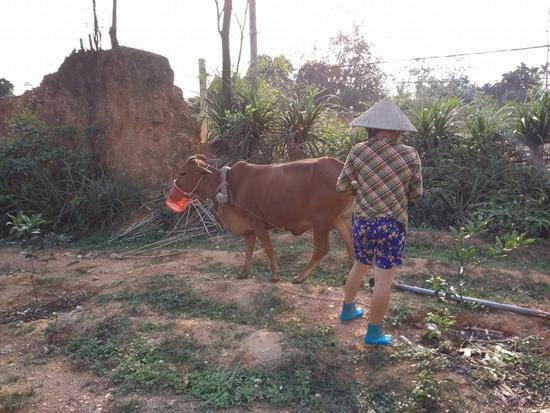 Cười ngất với muôn kiểu bảo vệ vườn rau amp;#34;có một không haiamp;#34; của các bác nông dân vui tính - 1