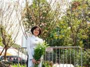 Du lịch - Hàng chục cây hoa anh đào Nhật Bản khoe sắc ở vườn hoa Lý Thái Tổ