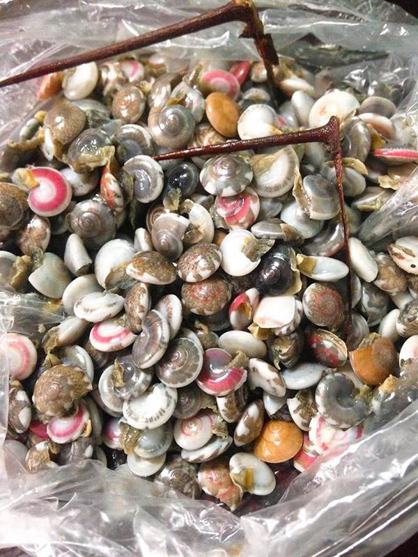 Tháng 3 mùa ốc ruốc, dân mạng nô nức khoe ảnh nhể ốc, ai nhìn cũng thèm - 6