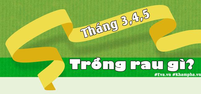 Tháng 3,4,5: Trồng rau gì vừa hợp mùa vừa có rau ăn amp;#34;đã miệngamp;#34; từ xuân sang hè - 1