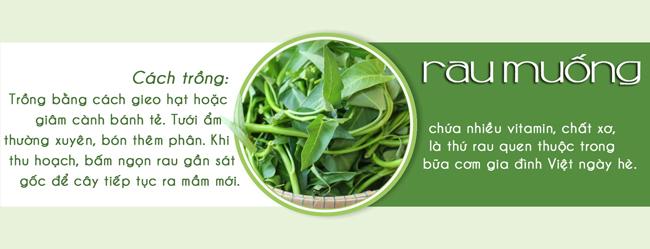Tháng 3,4,5: Trồng rau gì vừa hợp mùa vừa có rau ăn amp;#34;đã miệngamp;#34; từ xuân sang hè - 7