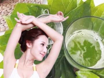 Vò nát nắm lá trầu không đem đun theo cách này, lông cánh sẽ tự rụng không còn 1 cọng