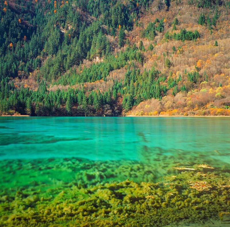 Mặt hồ xanh trong hiện đã đổi một màu khác do thiên tai.
