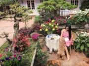 Nhà đẹp - Chốn đi về bình yên ngập tràn hoa trái ai cũng mơ của người phụ nữ Hà Nội đa tài