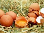 Sức khỏe - Liều lĩnh ăn hết 28 quả trứng sống vì cá cược, nam thanh niên đột tử