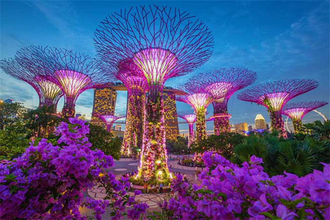 Ăn gì, chơi gì nếu chỉ có 24 giờ ở Singapore? - 2