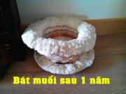 Nhà đẹp - Nhà giàu thường bí mật đặt bát muối ở góc nhà, cả năm không dám đổ đi, ai ngờ vì...