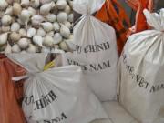 Tiêu dùng - Đang chính vụ thu hoạch, tỏi nơi khác vẫn "tuồn" về đảo tỏi Lý Sơn