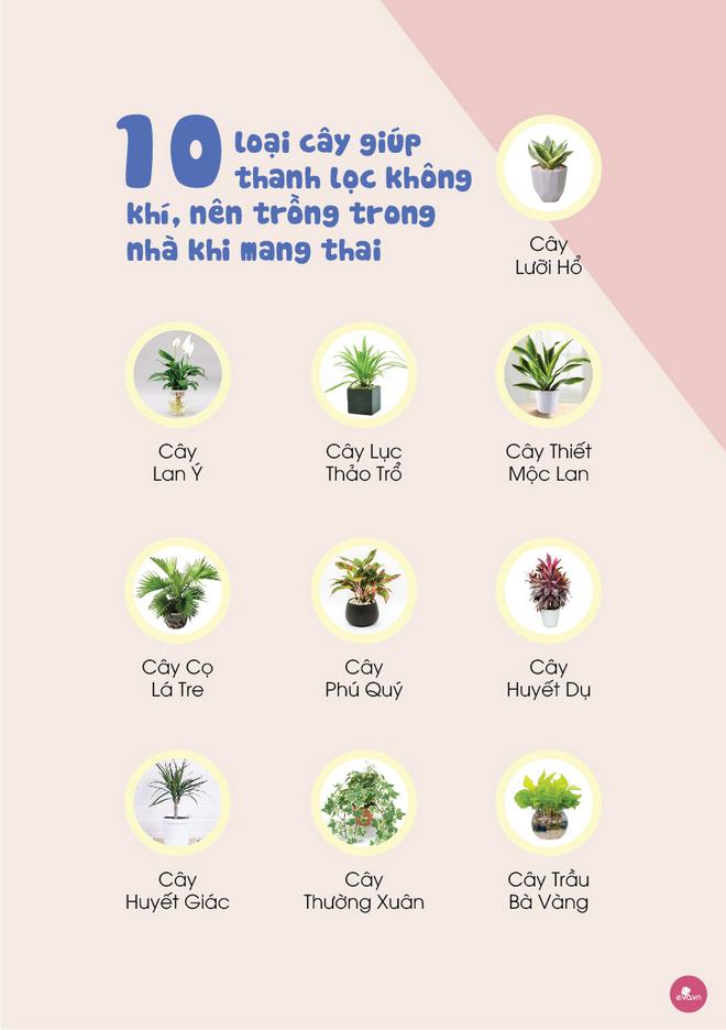 Tất tần tật những gì mẹ nên và không nên làm trong suốt thai kỳ - 5