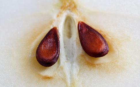 10 loại thực phẩm quen mặt có khả năng gây hại cho cơ thể nếu không biết sử dụng - 10