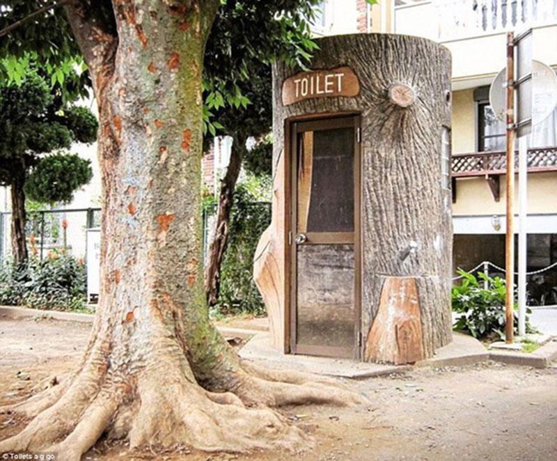 Nghe theo tiếng gọi thiên nhiên: WC được thiết kế sao cho hài hòa với cái cây bên cạnh.
