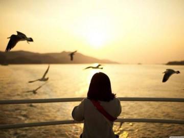 Thiên hạ luôn tỏ ra khôn khéo, nhưng có ai biết rằng khờ khạo một chút mới là hạnh phúc