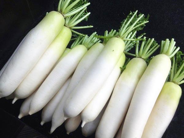 Trị ho cho con bằng củ cải trắng, sau 2-3 ngày thuyên giảm bất ngờ - 7