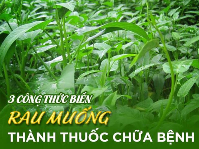 Học ngay 3 món ăn thần dược từ rau muống giúp chữa trị bệnh nhiều người mắc phải