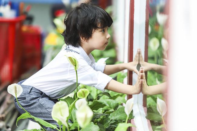 Chu Diệp Anh, Coca Gia Bảo: Cặp thiên sứ dễ thương nhất amp;#34;hệ mặt trờiamp;#34;, bảo sao ai cũng thích - 8