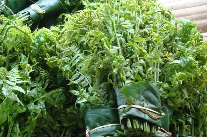 Ở Việt Nam, dương xỉ chỉ được xem như cỏ dại, gần đây nó mới trở nên phổ biến hơn sau khi có nhiều nghiên cứu chứng minh công dụng của nó. Trái với người Việt, người dân phương Tây, Hàn Quốc, Nhật Bản rất thích ăn dương xỉ hàng ngày và nó còn khá đắt đỏ.
