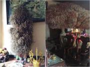 Nhà đẹp - Bát hương ‘cổ thụ’ ai nhìn cũng khen tốt phước, chuyên gia phong thủy thốt lên: Nhầm to