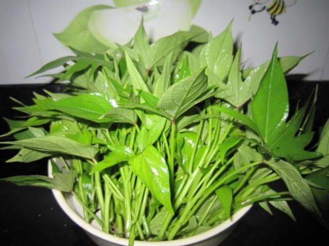 Lá khoai lang được mệnh danh là món ăn trường thọ hàng đầu, nó có thực sự tốt như vậy?