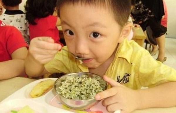 co giao mam non tiet lo ly do cho tre an trua luc 11 gio la chuan nhat - 2