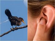 Nhà đẹp - 8 dấu hiệu cho thấy thần tài sắp gõ cửa nhà bạn, may hơn trúng xổ số