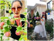 Nhà đẹp - Biệt thự to như resort, Thúy Nga vẫn ‘sốc nặng’ trước vườn nhà 40 tỷ của hoa hậu này!