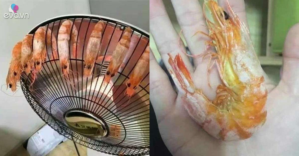 Trời lạnh, sinh viên nướng tôm bằng quạt sưởi trong ký túc, dân mạng “Học làm gì, mau mở quán!“