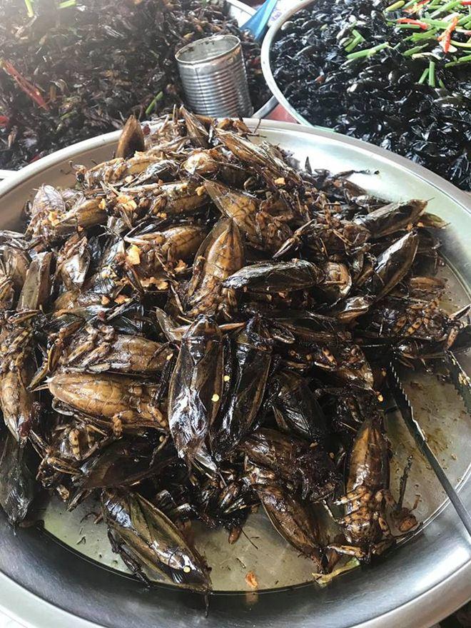 Đi Campuchia có gì vui: Bạn có dám amp;#34;chénamp;#34; thử những món kinh dị này? - 10