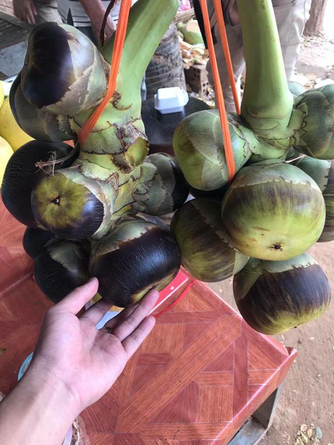 Đi Campuchia có gì vui: Bạn có dám amp;#34;chénamp;#34; thử những món kinh dị này? - 17