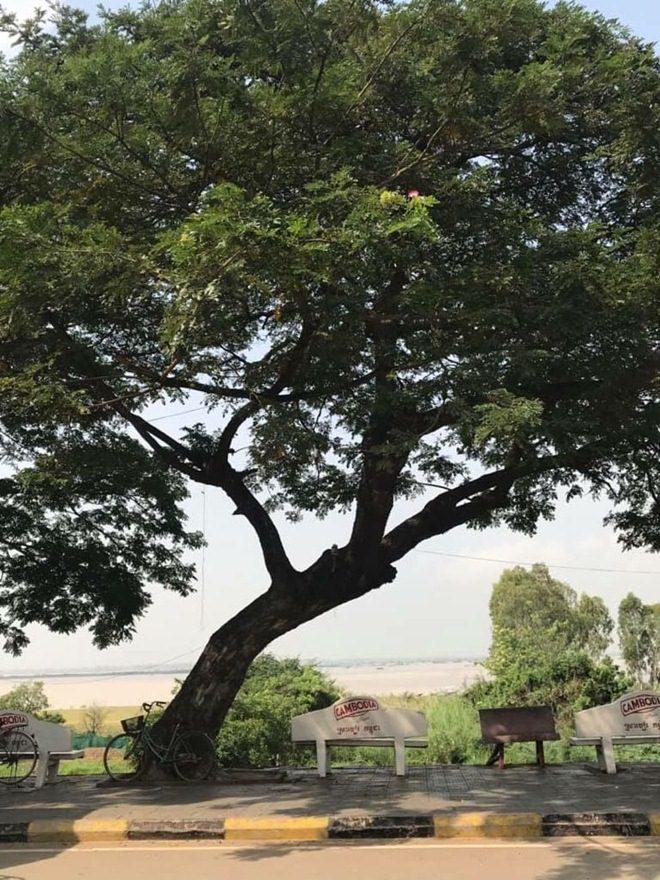 Đi Campuchia có gì vui: Bạn có dám amp;#34;chénamp;#34; thử những món kinh dị này? - 2