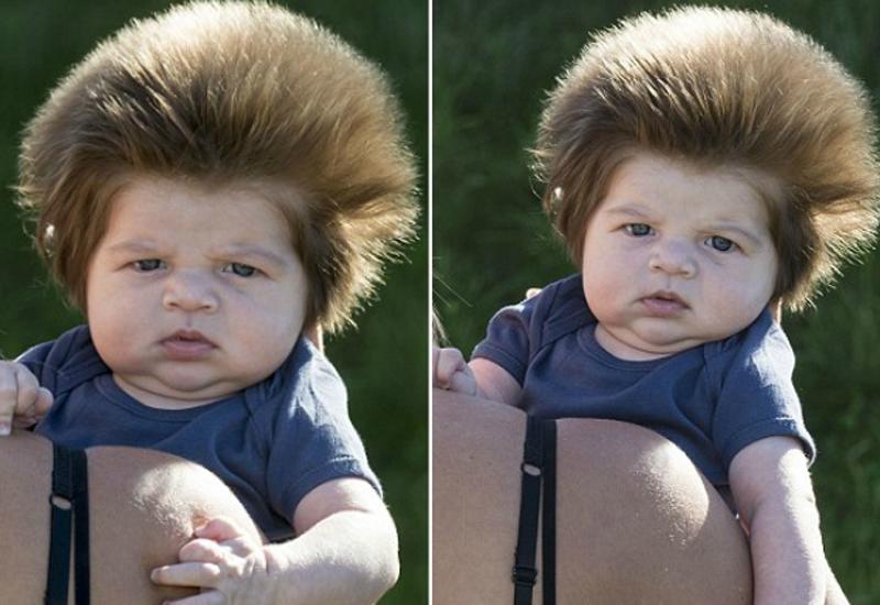Hình ảnh cậu bé Junior Cox-Noon, 9 tuần tuổi với một mái tóc rậm dày, dựng đứng như “điện giật”. Với biệt danh “Gấu”, hình ảnh của bé cũng từng được chia sẻ với tốc độ chóng mặt ngay sau khi xuất hiện trên một trang web nước ngoài. 
