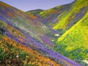 Lifestyle - Bị đồn gây những cái chết bí ẩn nhưng nơi đây đẹp như tiên cảnh, có hòn đá "biết đi"