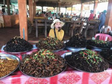 Đi Campuchia có gì vui: Bạn có dám chén thử những món kinh dị này?