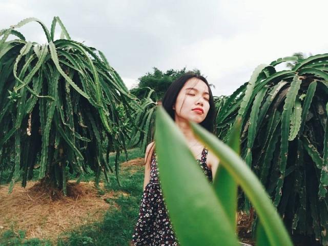 Lộ diện vương quốc thanh long đẹp như tranh ở Bình Thuận