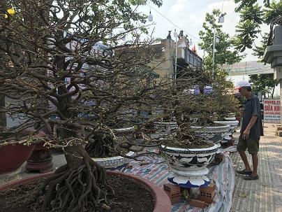 Tin tức 24h: Danh tính 8 nạn nhân vụ ô tô đâm người viếng nghĩa trang ở Hải Dương - 2