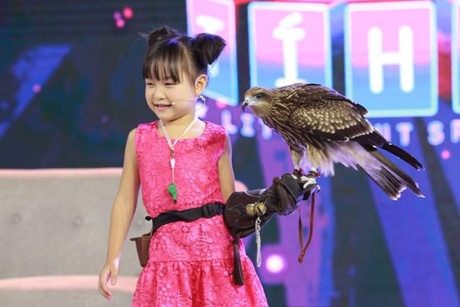 Trấn Thành không tin vào mắt mình trước cô bé mới 6 tuổi có thể huấn luyện diều hâu - 1