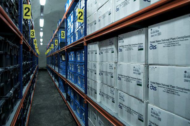 5 địa điểm bí ẩn, cấm kị con người đặt chân đến trên thế giới - 3