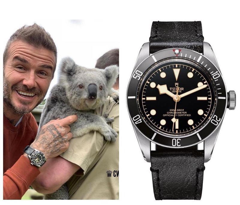 Là biểu tượng thời trang của phái mạnh toàn cầu, ông bố 4 con David Beckham liên tục lọt top sao mặc đẹp và có sức hút nhất hành tinh. Một trong những chiếc đồng hồ yêu thích của David Beckham là chiếc Tudor Black Bay có giá khoảng 90 triệu đồng.
