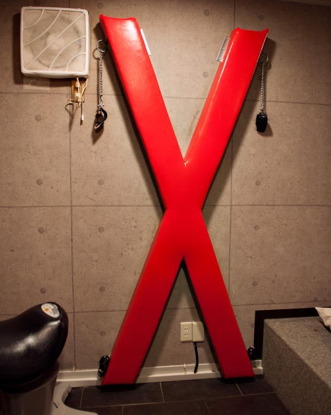 Có gì bên trong những khách sạn tình yêu nổi tiếng nhất Nhật Bản? - 5