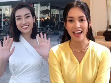 HH Đỗ Mỹ Linh, Ngọc Duyên cùng dàn sao Việt gửi lời chúc Tết Kỷ Hợi đến độc giả
