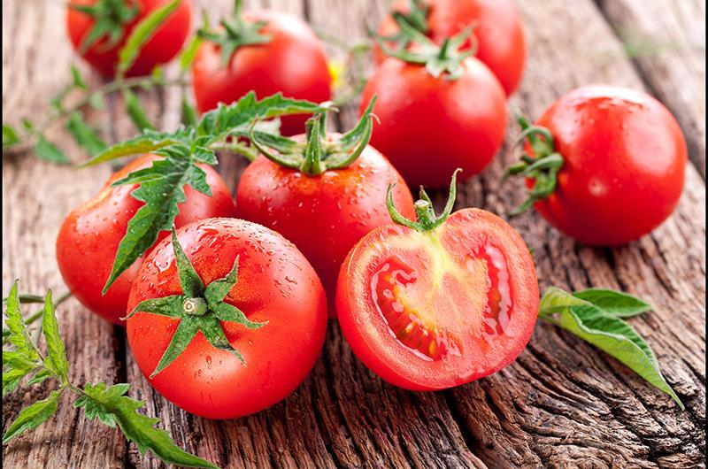 Điều tuyệt vời hơn ở cà chua là chúng chứa rất ít cholesterol, chất béo bão hòa, natri và calo. Hơn nữa, chúng còn rất giàu vitamin C và lycopene, có tác dụng tốt trong việc cải thiện khả năng miễn dịch và chống lão hóa.
